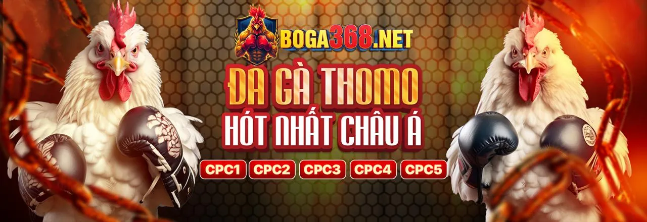 Vấn đề nạp rút tiền Thomo Hôm Nay